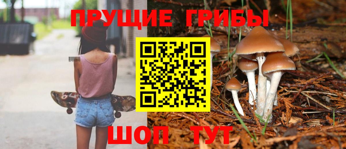 наркота  Галлюциногенные грибы Cubensis  Вход с VPN  Егорьевск 